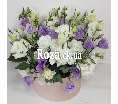 Mixed bouquet of eustomas in a box 3