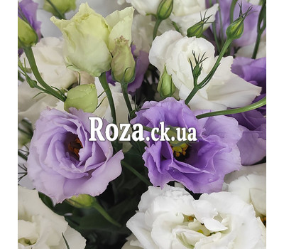 Mixed bouquet of eustomas in a box 4