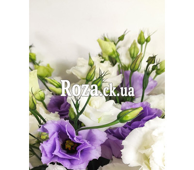 Mixed bouquet of eustomas in a box 5
