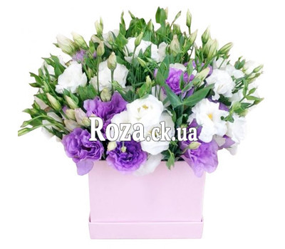 Mixed bouquet of eustomas in a box