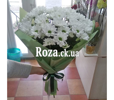 A small bouquet of chrysanthemums 5