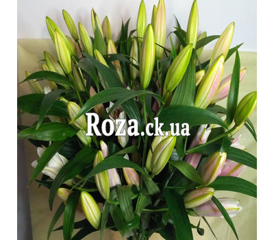 Charming bouquet of lilies 3