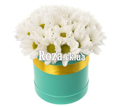 Chamomile chrysanthemums in a box
