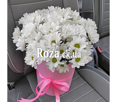 Chamomile chrysanthemums in a box 3