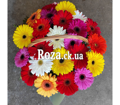 Bright basket of colorful gerberas 1