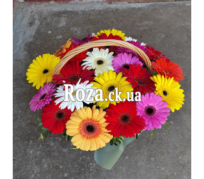 Bright basket of colorful gerberas 2