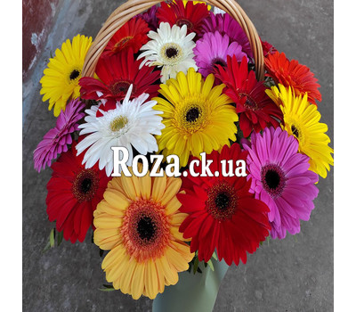 Bright basket of colorful gerberas 3