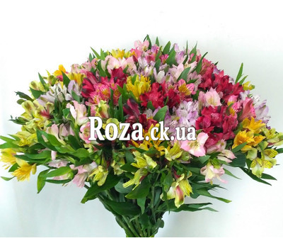 Bright bouquet of alstroemerias 3
