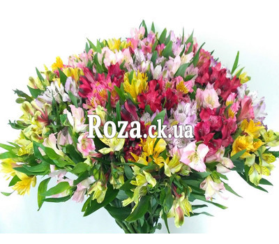 Bright bouquet of alstroemerias 4