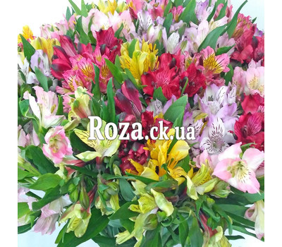 Bright bouquet of alstroemerias 5