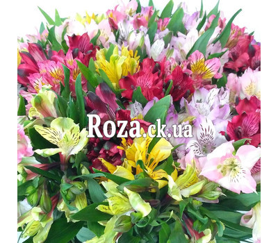 Bright bouquet of alstroemerias 6