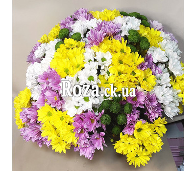 35 spray chrysanthemums 2