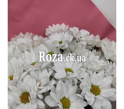 Білосніжний букет із ромашок - вид 6