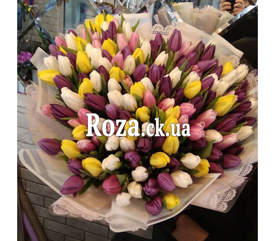 Bouquet of 151 tulips 1