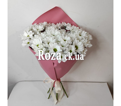 A small bouquet of whites chrysanthemums 6