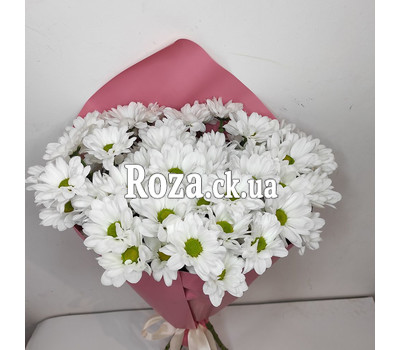 A small bouquet of whites chrysanthemums 7