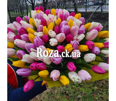 A beautiful bouquet of 101 tulips 3