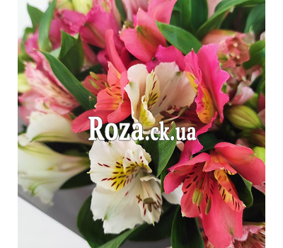 Glorious bouquet of alstroemerias 6