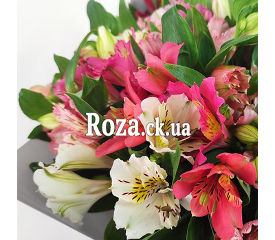 Glorious bouquet of alstroemerias 7