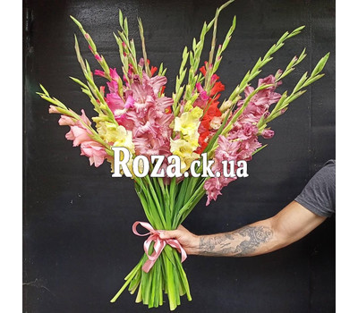 Bouquet from 25 multicolored gladiolus 1
