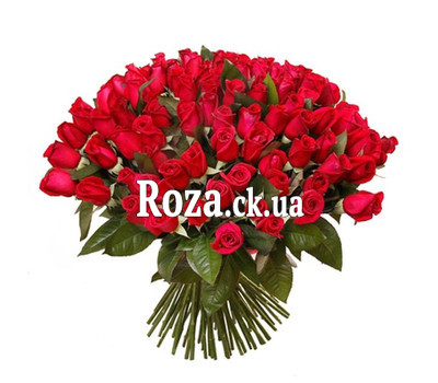 101 red imported rose