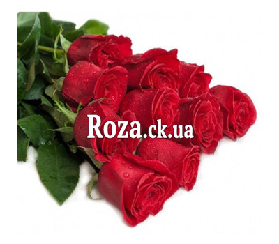 11 meter long roses