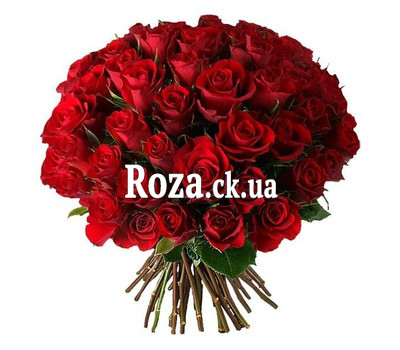 51 imported rose
