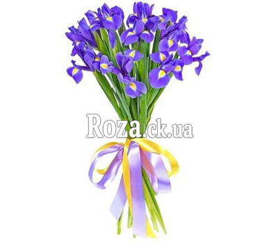 Букет из 15 ирисов
