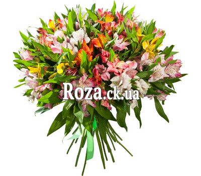 Bouquet of alstroemerias