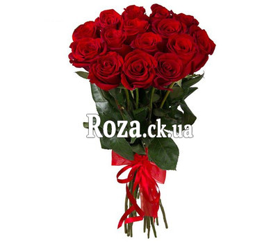 A bouquet of roses